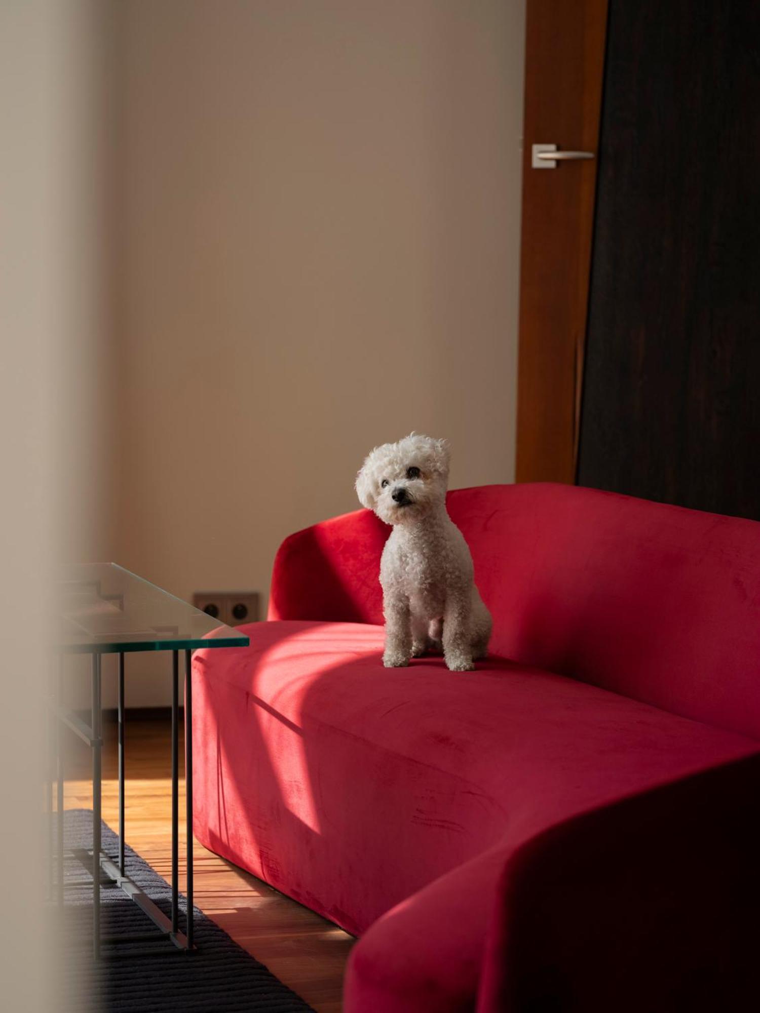 Hotel Monopol Вроцлав Екстериор снимка A Bolognese